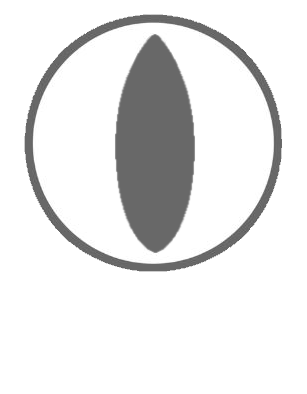 Skimboard en Canarias